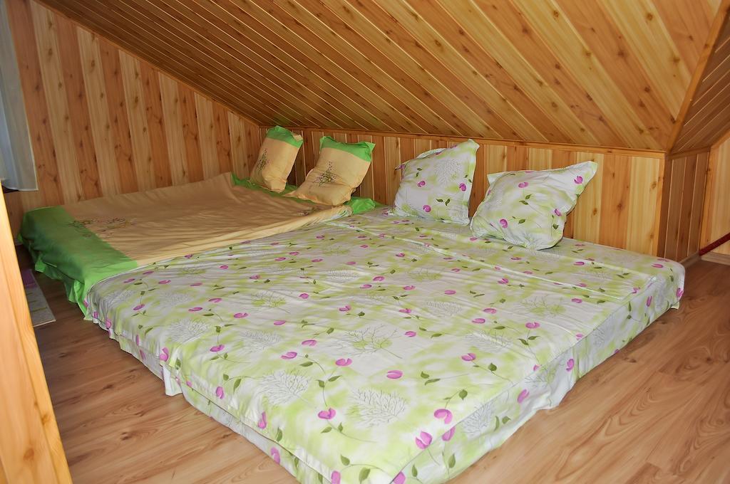 Casa Lidia Hotell Lepşa Rum bild